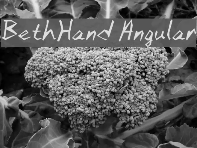 BethHand Angular Caratteri examples