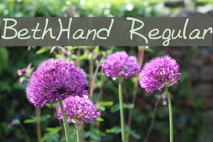 BethHand Regular Font examples