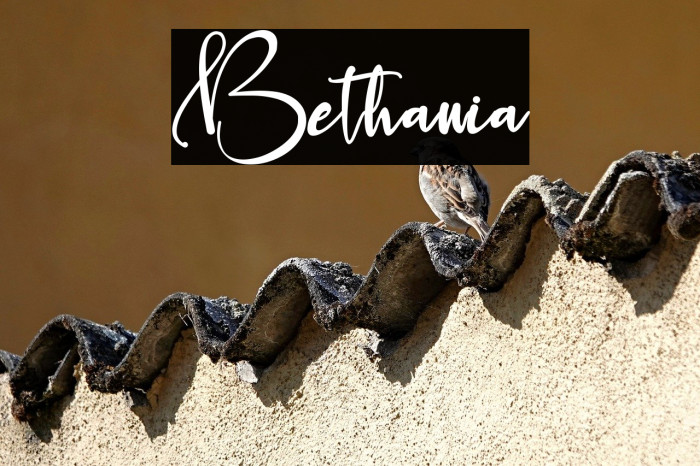 Bethania Example 3