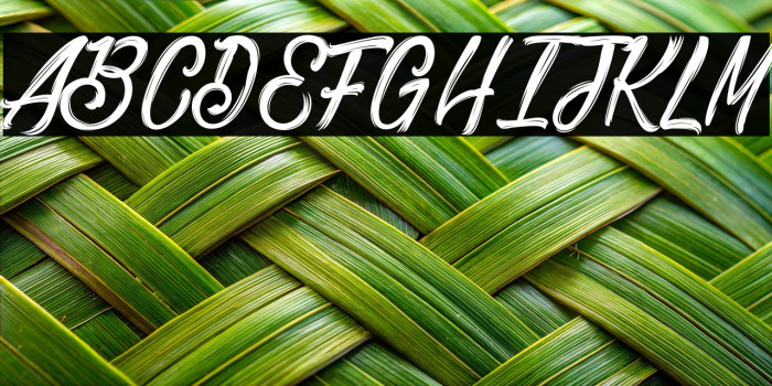 Bethanie Snake_PersonalUseOnly Example 2