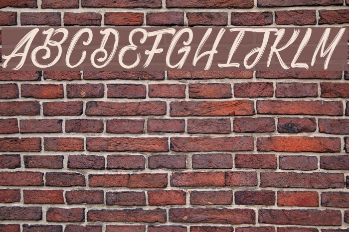 Bethanie Snake_PersonalUseOnly Font examples