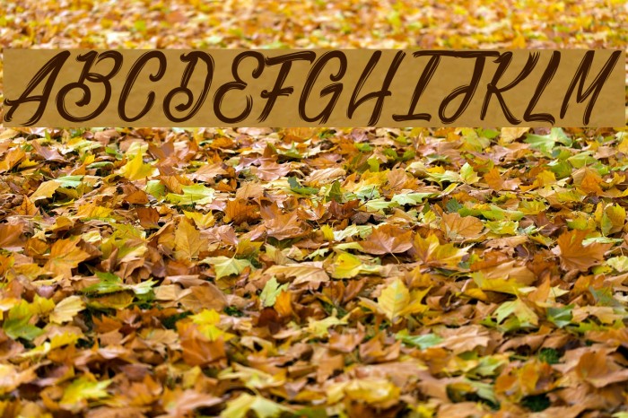 Bethanie Snake_PersonalUseOnly Font examples