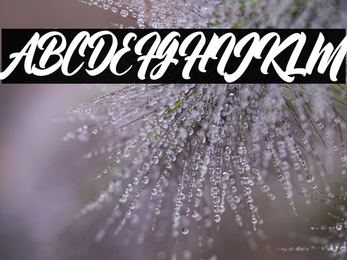 Bethany Kibang Example 1