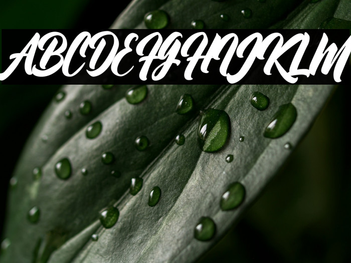 Bethany Kibang Example 2