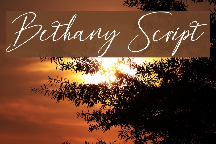 Bethany Script Font examples