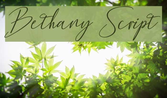 Bethany Script Font examples