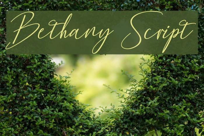 Bethany Script Font examples