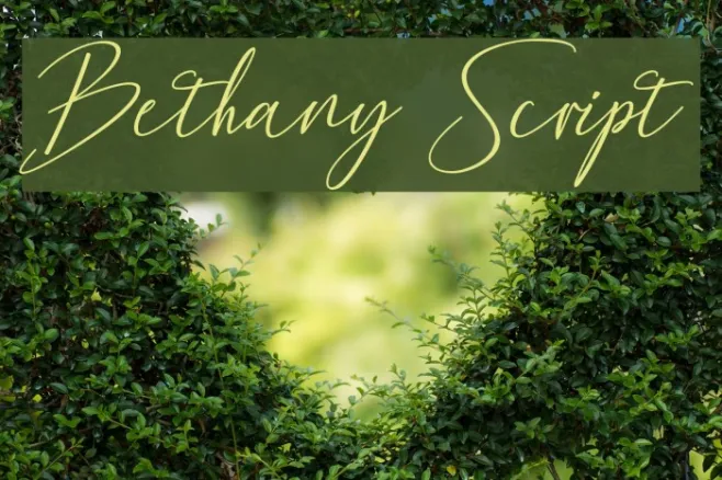 Bethany Script Example 3