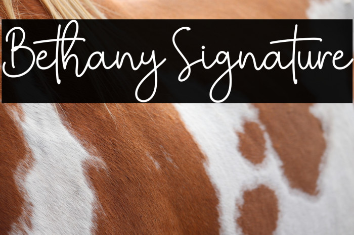 Bethany Signature Example 2