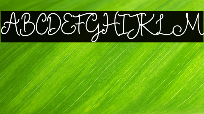 BethanySignature Example 1