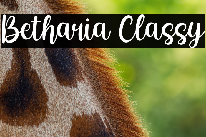 Betharia Classy Example 2