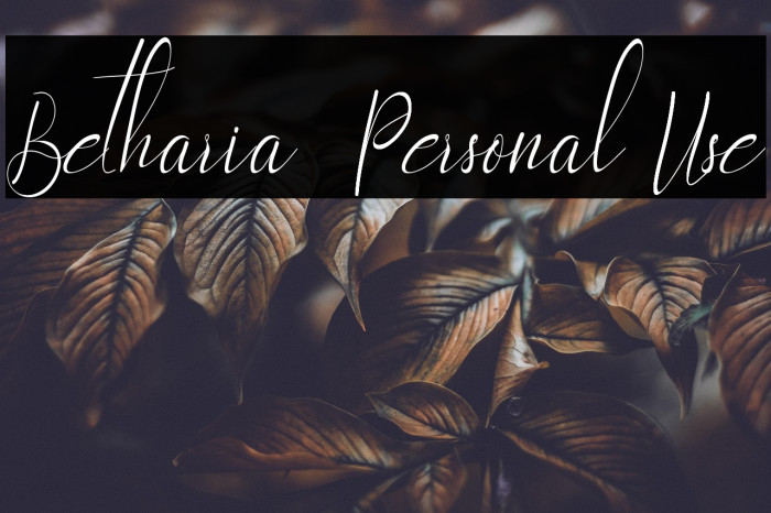 Betharia - Personal Use Example 1