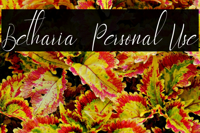 Betharia - Personal Use Example 2