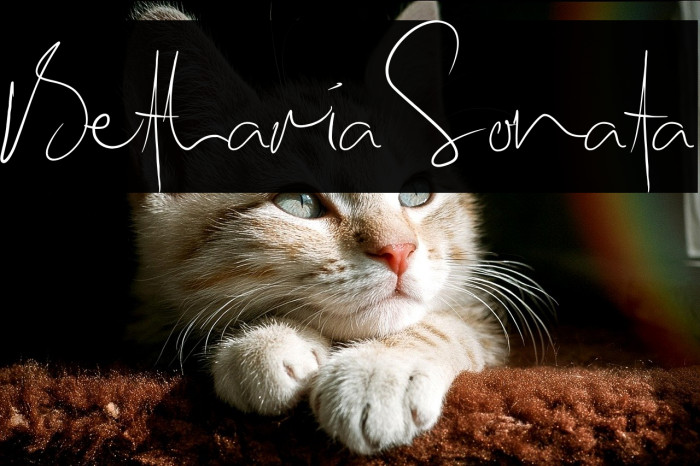 BethariaSonata Example 1