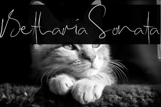 BethariaSonata Font examples