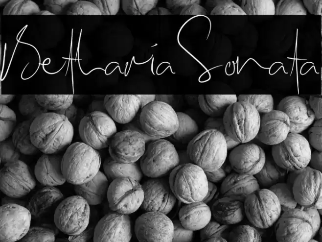 BethariaSonata Font examples