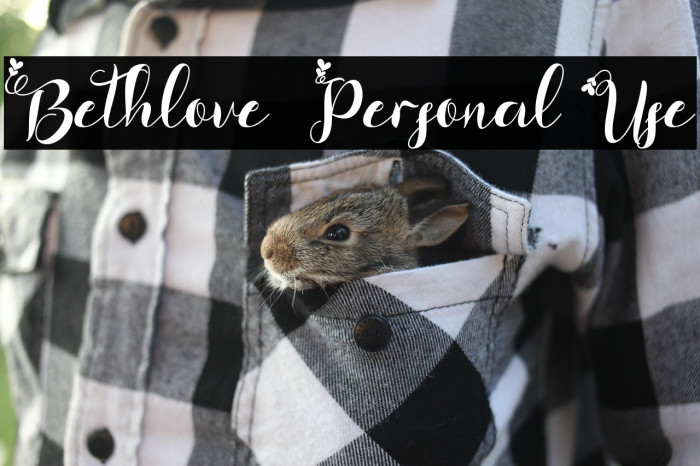 Bethlove - Personal Use Example 2