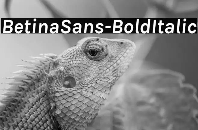 BetinaSans-BoldItalic Font examples