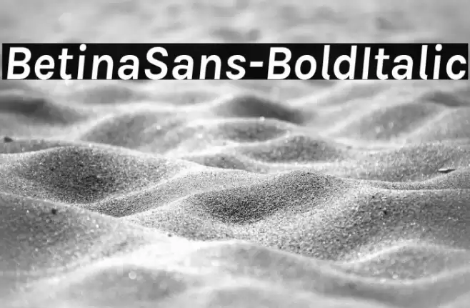 BetinaSans-BoldItalic Font examples