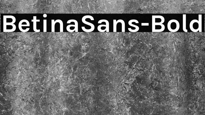 BetinaSans-Bold Example 1