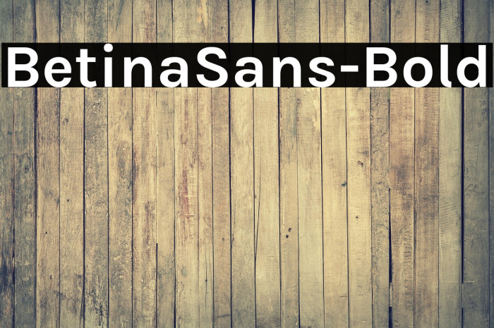 BetinaSans-Bold Example 2