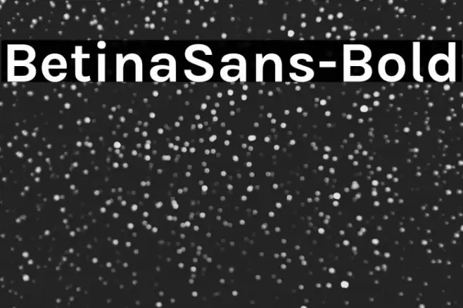 BetinaSans-Bold Font examples