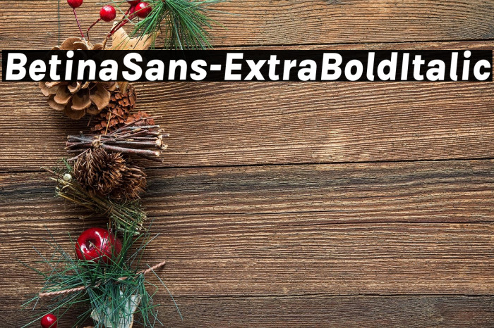 BetinaSans-ExtraBoldItalic Example 1