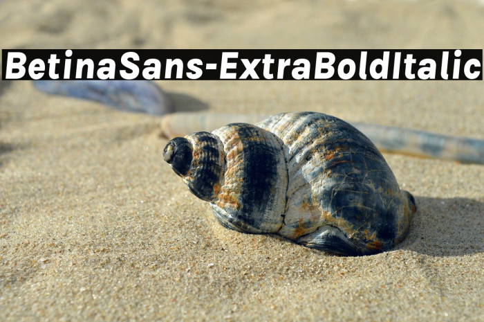 BetinaSans-ExtraBoldItalic Example 3