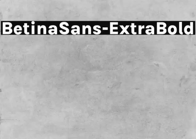BetinaSans-ExtraBold Font examples