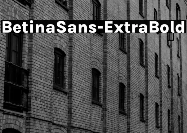 BetinaSans-ExtraBold Font examples