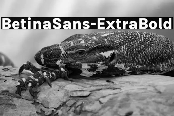 BetinaSans-ExtraBold Font examples