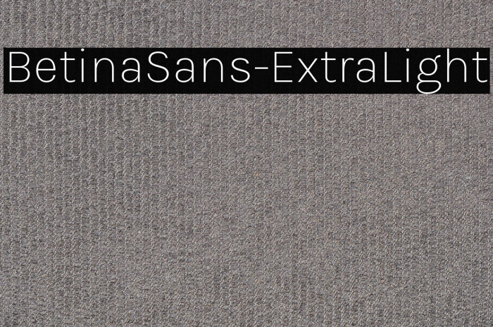BetinaSans-ExtraLight Example 1