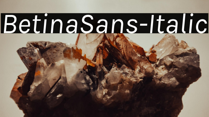 BetinaSans-Italic Example 1