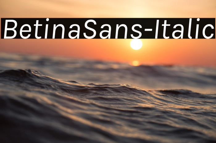BetinaSans-Italic Example 2