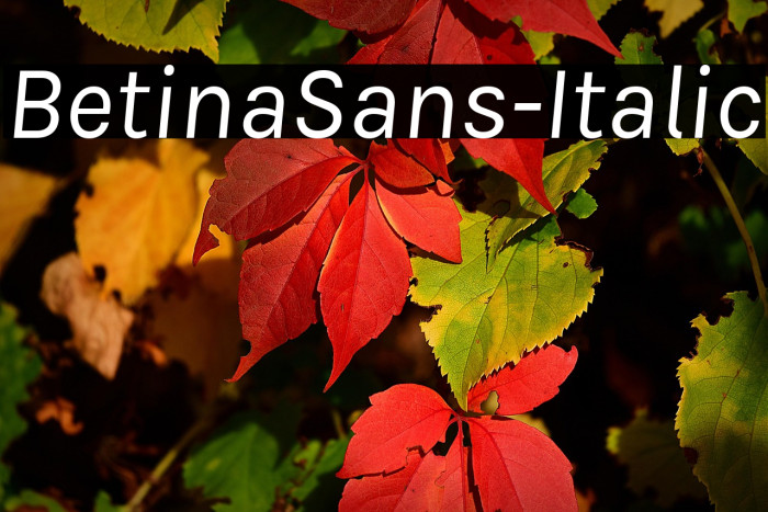 BetinaSans-Italic Example 3