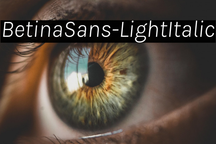 BetinaSans-LightItalic Example 3