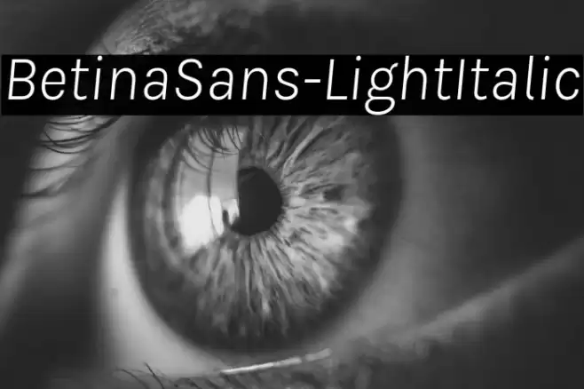 BetinaSans-LightItalic Font examples