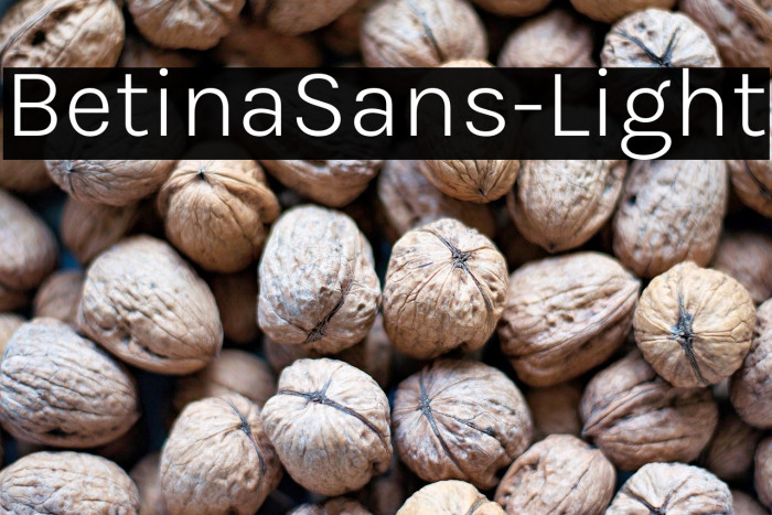 BetinaSans-Light Example 1