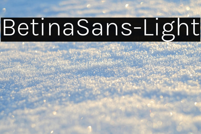 BetinaSans-Light Example 2