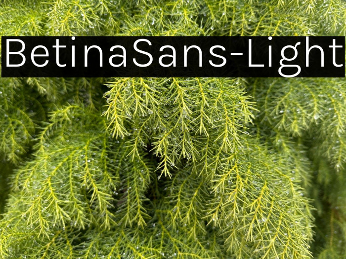 BetinaSans-Light Example 3