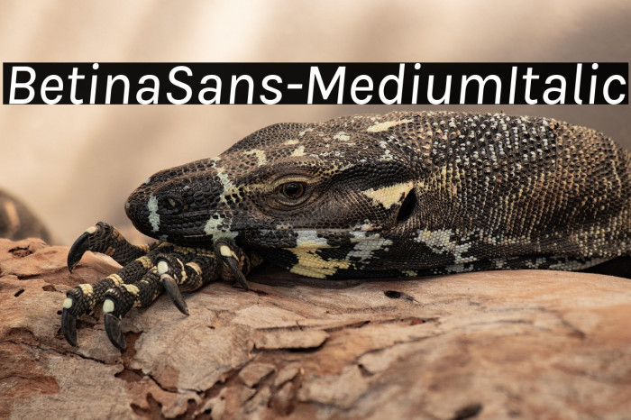 BetinaSans-MediumItalic Example 3