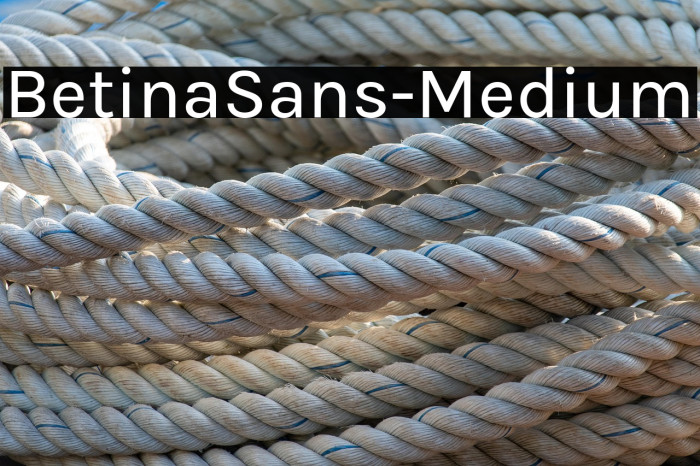 BetinaSans-Medium Example 2