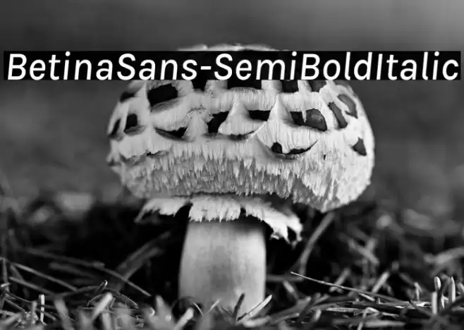 BetinaSans-SemiBoldItalic Font examples