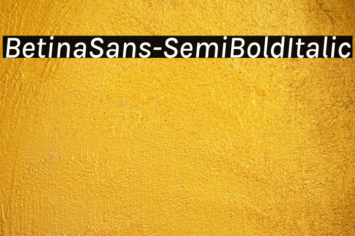 BetinaSans-SemiBoldItalic Example 3