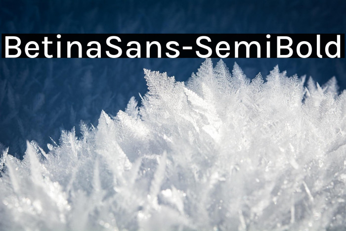 BetinaSans-SemiBold Example 2