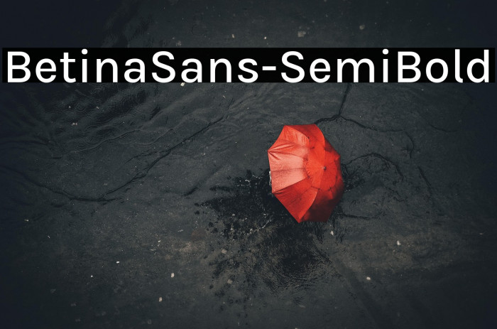 BetinaSans-SemiBold Example 3