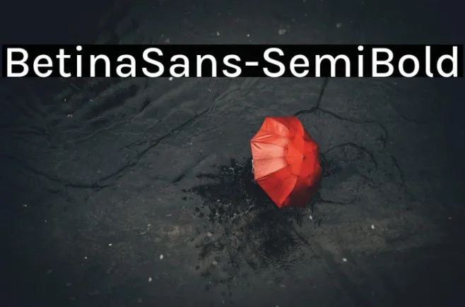 BetinaSans-SemiBold Example 3