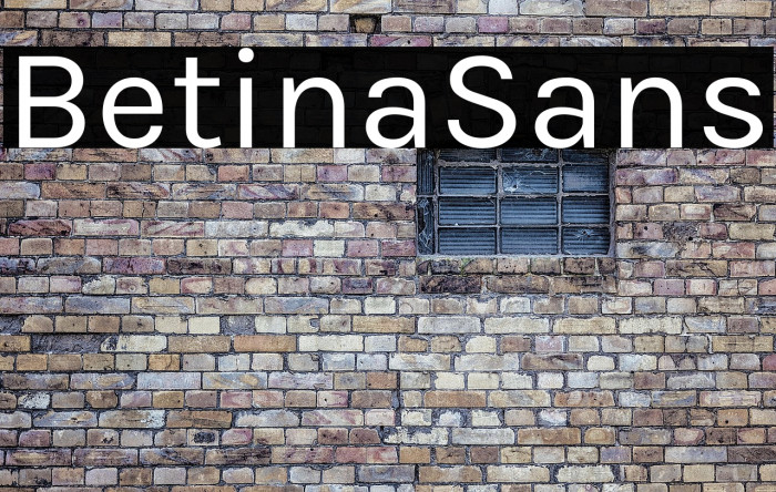 BetinaSans Example 1