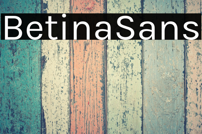 BetinaSans Example 2
