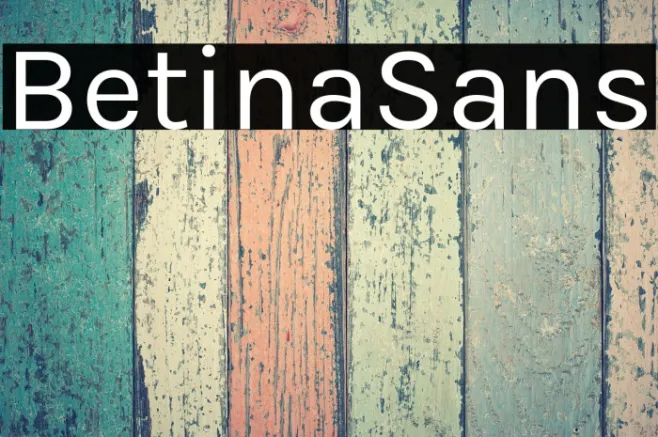 BetinaSans Example 2